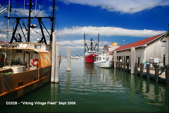 VIKING VILLAGE IMAGE GALLERY